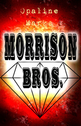 Book Cover of Morrison Bros.